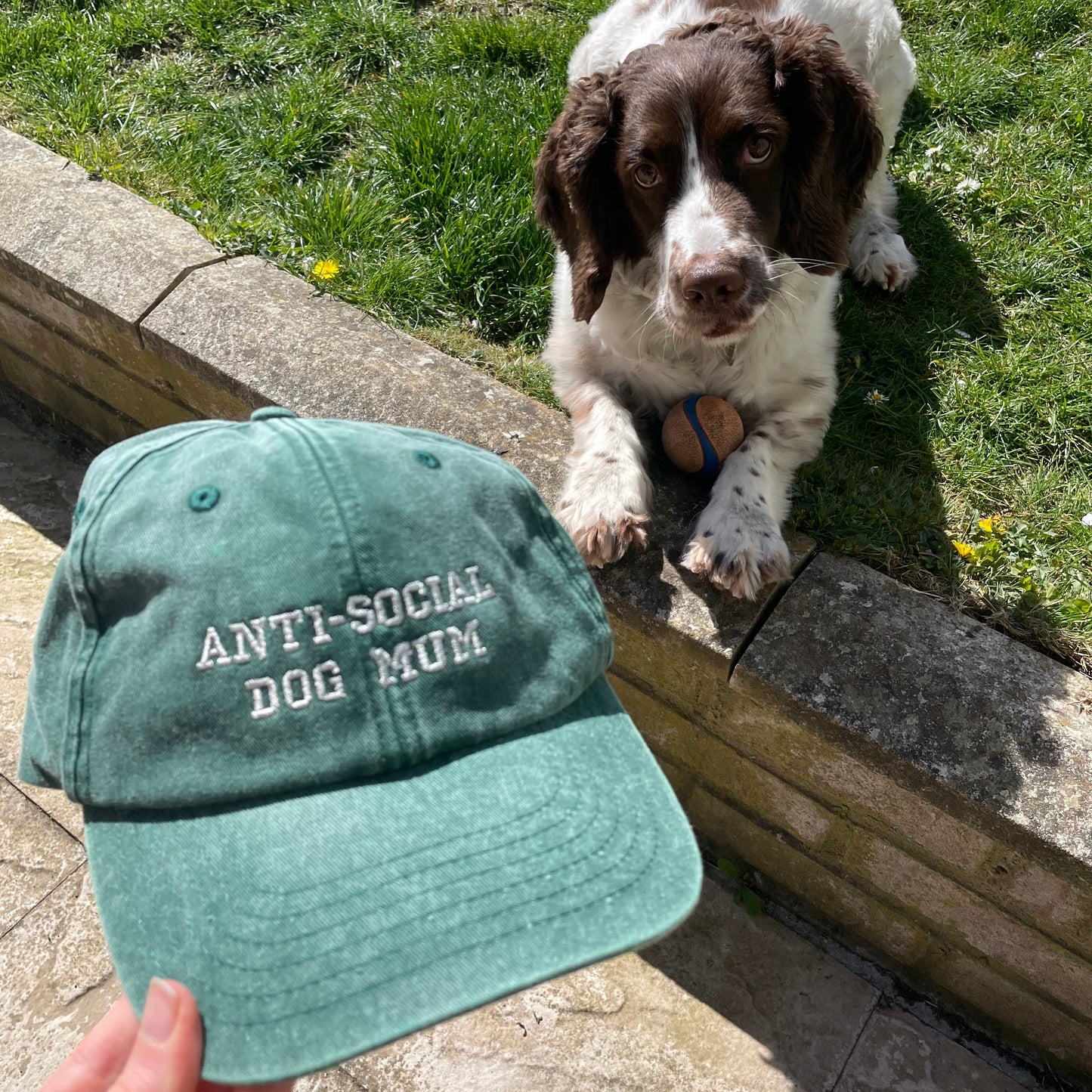 ANTI-SOCIAL DOG MUM Embroidered Cap
