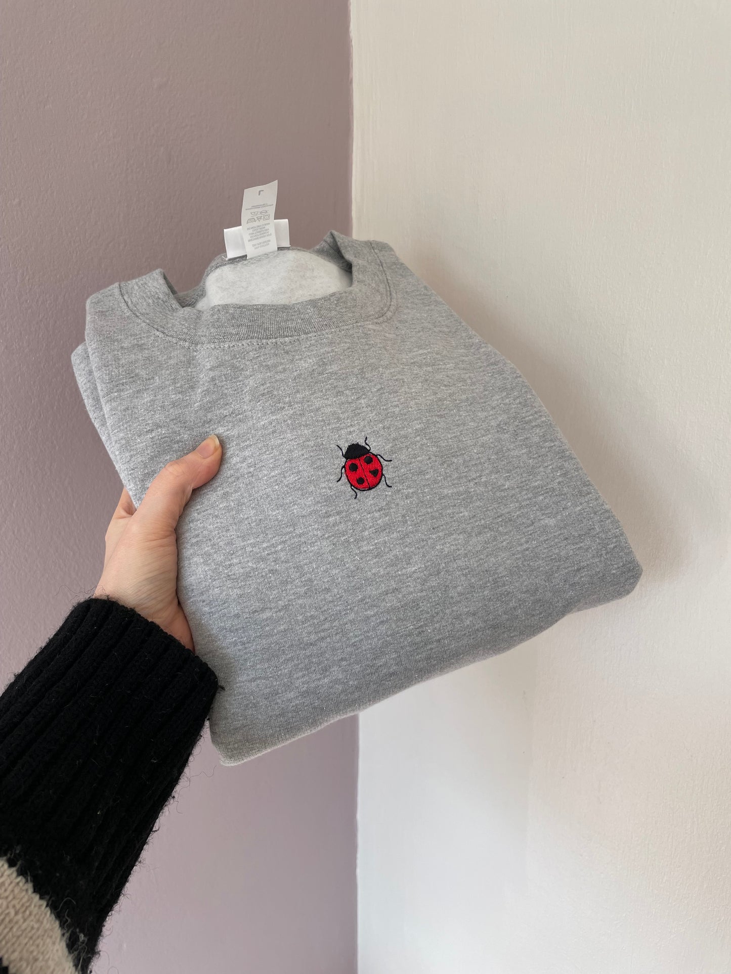 Ladybird sweater - LARGE