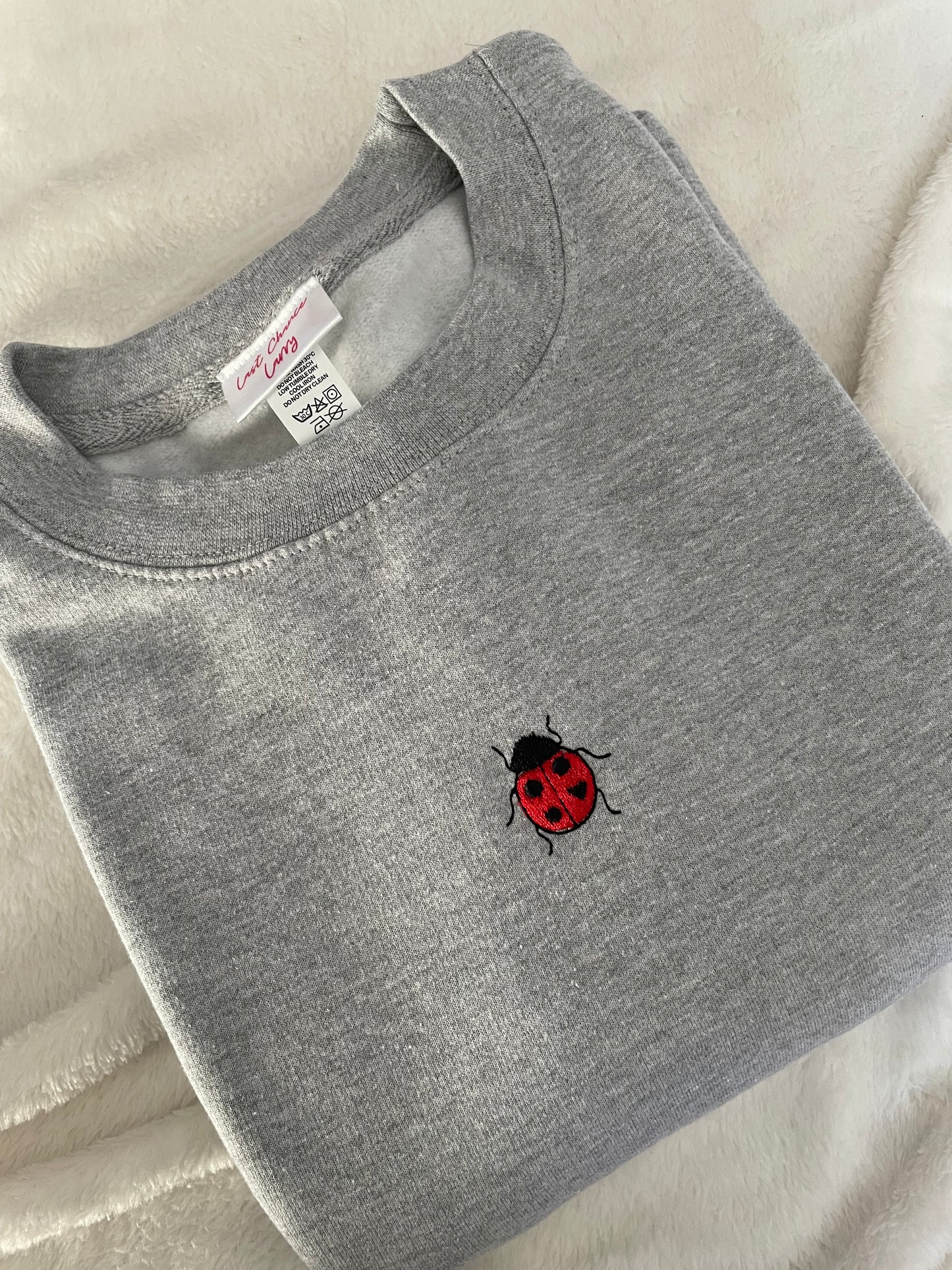 LITTLE LADYBIRD SWEATSHIRT